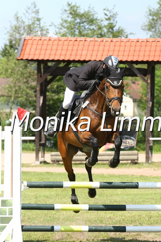 204M3245_JPs Zindy_Springpfe_Axx.JPG